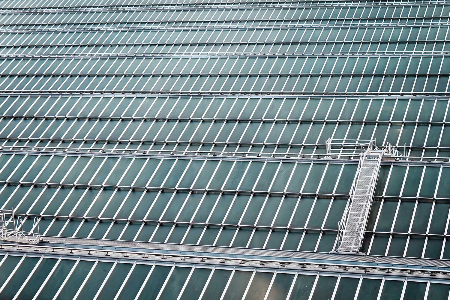 Roof of Waverley Railway Station